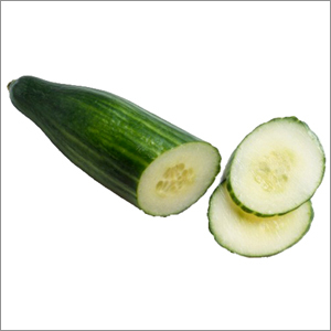 Cucumber