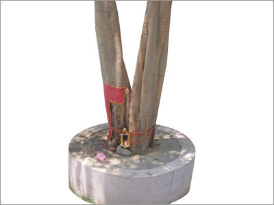 Graha Dasha Services