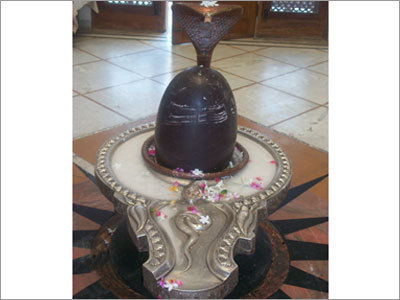 Gau Daan / Gau Seva Services