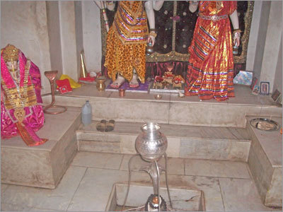 Monkey Feeding (Charity Services)