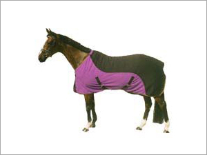 Exercise Fleece Rug