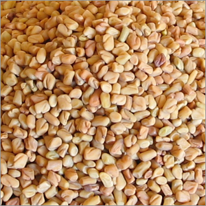 Fenugreek Methi Seeds