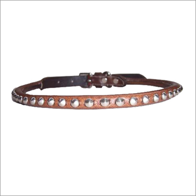 Dog Collars