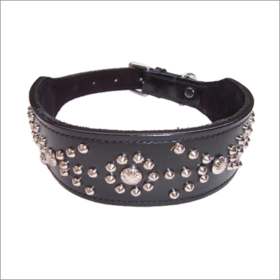 Studded Dog Collars