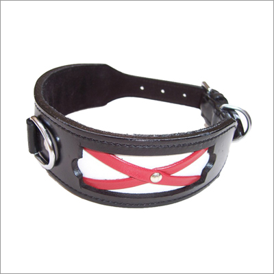 Designer Leather Dog Collar