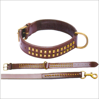 Pet Collars & Leashes