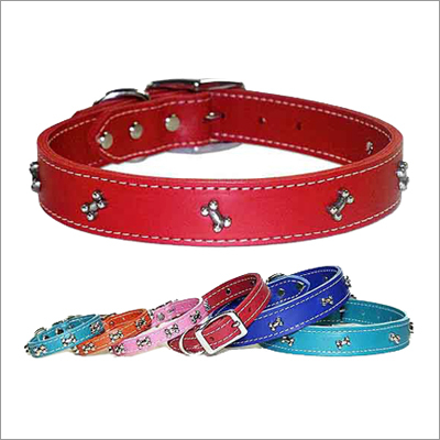 Studded Cat Collars