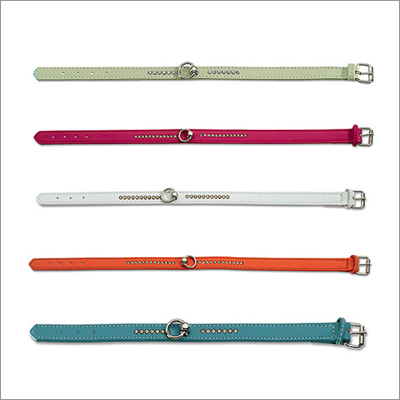 Colored Dog Collars