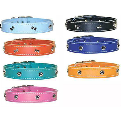 Designer Puppy Dog Collars