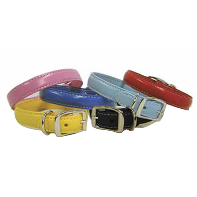 Elegant Dog Collars