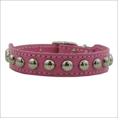 Fashion Dog Collars