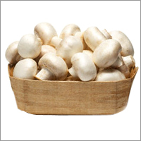 Fresh Mushrooms