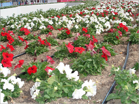 Flori Culture Services