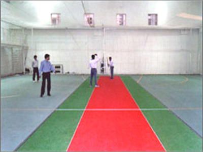 Synthetic Grass
