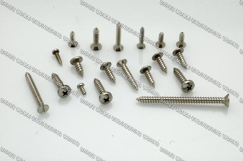 Steel Screws