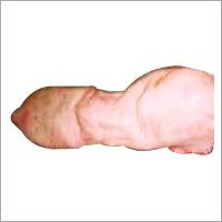 Frozen Buffalo Tongue