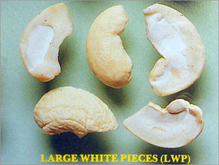 Large White Cashew Pieces (LWP)
