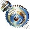 Worm Wheel