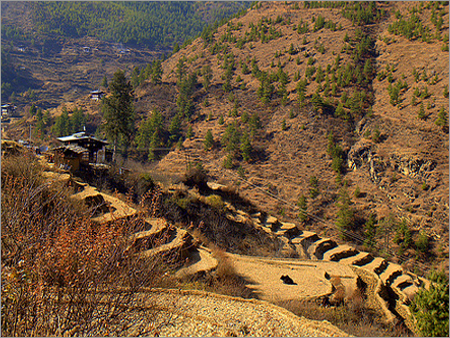 Bhutan - Land of Thunder Dragon
