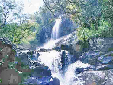 Chhattisgarh Experience
