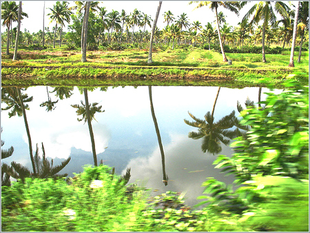 Classical Kerala By TATHAGAT TRAVELS INDIA PVT. LTD.