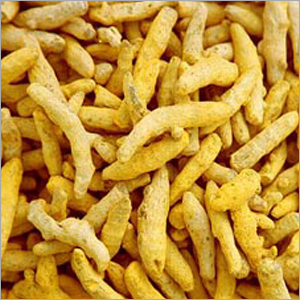 Fresh Turmeric