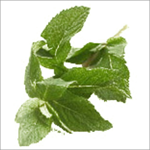 Lower image