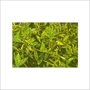 Green Cal-Bo