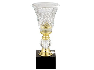 Glass Trophy