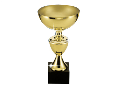 Metal Trophy