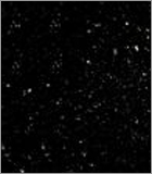Black Galaxy