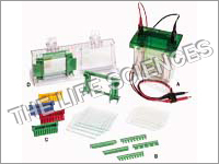 Mini Protean 3 Electrophroresis Cell