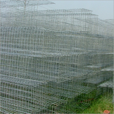 Layer Cages