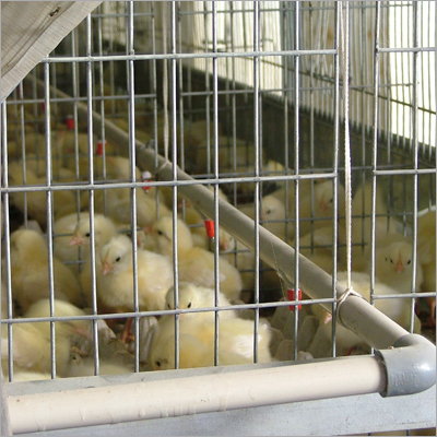 Stackable Retention Cages