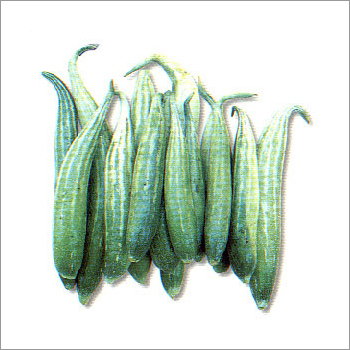 Snake Gourd