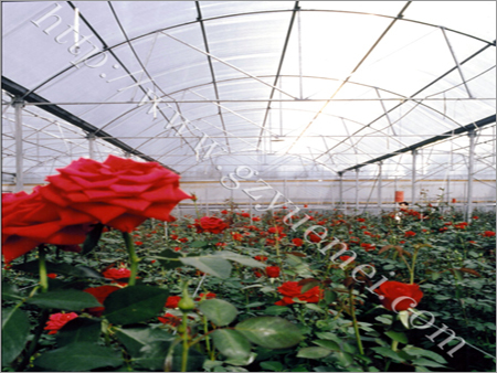 Multi Wall PC Hollow Roofing Sheet