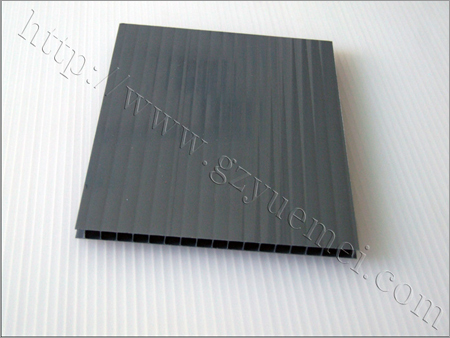 Polycarbonate Twin Wall Sheet