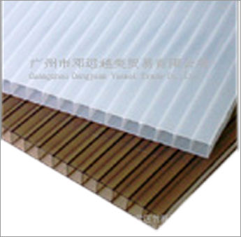 Twin Wall PC Hollow Panel