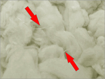 Raw Cotton