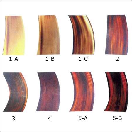 Buffalo Middle Tips Plate (Spectacles Frame)