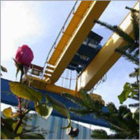 Outdoor Duty Double Girder Crane