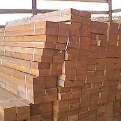 Sal Timber- Cut Size