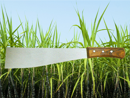 Sugar Cane Knife With Handle