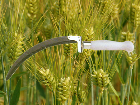 Grass Sickle