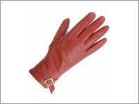 Ladies Gloves