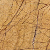 Rainforest Gold Marble