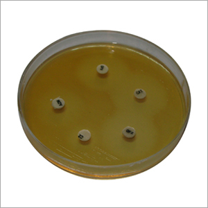Antimicrobial Susceptibility Discs