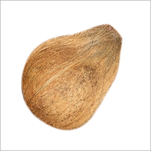 Fresh Coconut