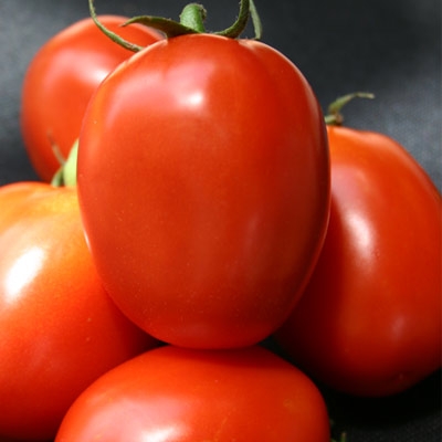 Hybrid Tomatoes