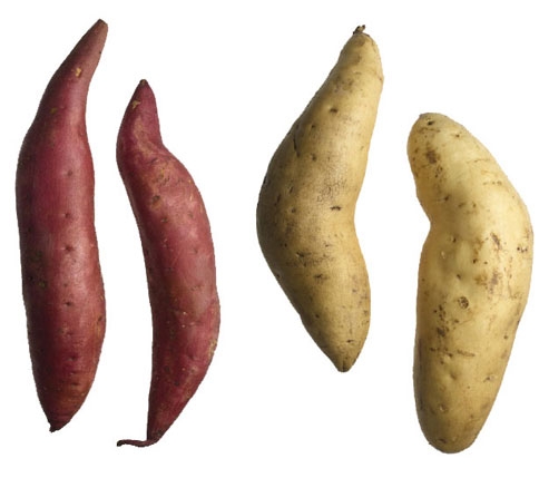 Sweet Potatoes